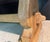 French Bleached Oak Farmhouse Dining Table, 1920s For Sale - Image 10 of 18