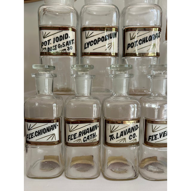 Early 20th Century Antique Whitall Tatum Co. Reverse-Painted Gilded Label Apothecary Jars, Set of 16 For Sale - Image 5 of 8