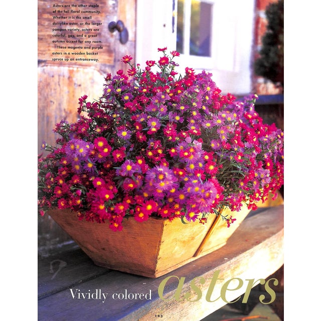 "A Passion for Flowers" 1997 Roehm, Carolyne For Sale - Image 10 of 10