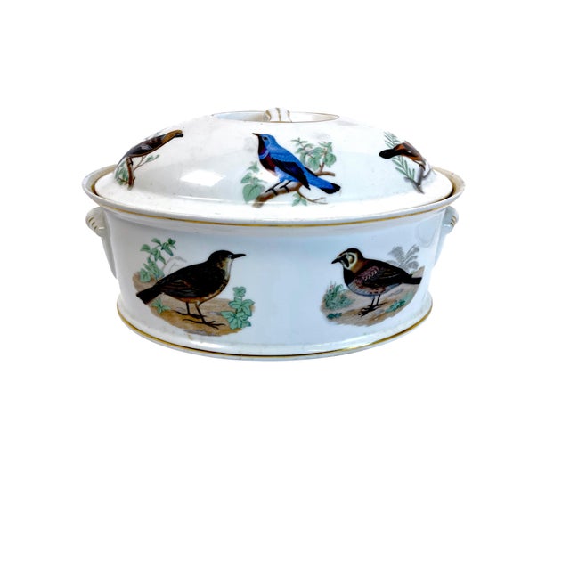 Early 20th Century Le Faune Birds Lourioux Fire Proof French Porcelain Casseroles - Set of 4 For Sale - Image 18 of 18