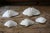 Set of 5 Large Natural Nautical Seashells | Coastal Beach House Decor | Organic Sculptural Display For Sale - Image 12 of 18