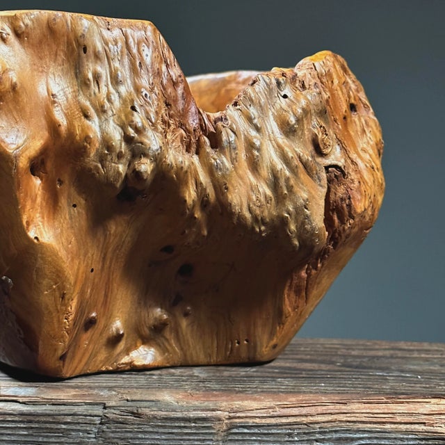 Vintage Organic Modern Hand Carved Wooden Root Bowl For Sale In Philadelphia - Image 6 of 8