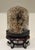 Cabinet of Curiosities Glass Cloche With Bird’s Nest Wrapped in Dried Gypsophila on Decorative Asian Wooden Stand Use as...