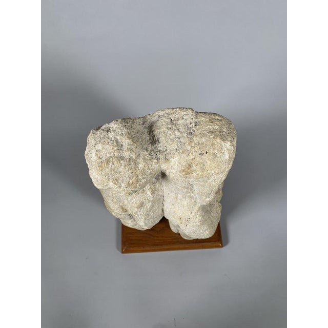 Renaissance Romanesque Limestone Sculpture, 9th Century: The Martyrdom of Saint Sebastian For Sale - Image 3 of 11