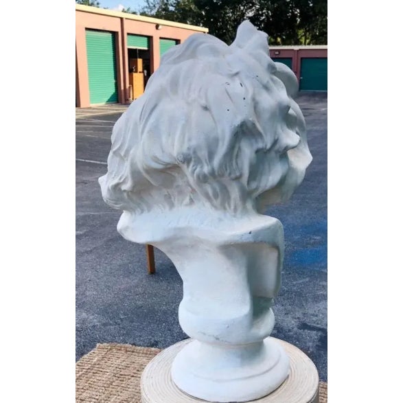Vintage Painted Terra Cotta Bust of Bearded Man For Sale - Image 11 of 12