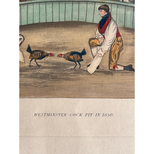 Early 19th Century Henry Alken Cock Fight Hand-Colored Aquatint For Sale - Image 5 of 5