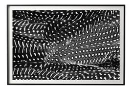 Example of New & Custom Abstract