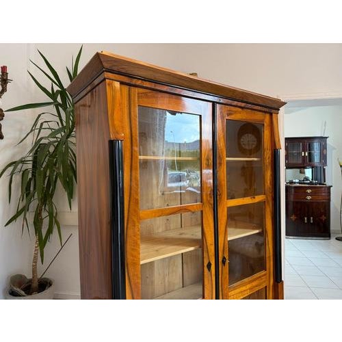 Brown Biedermeier Display Cabinet in Walnut For Sale - Image 8 of 18