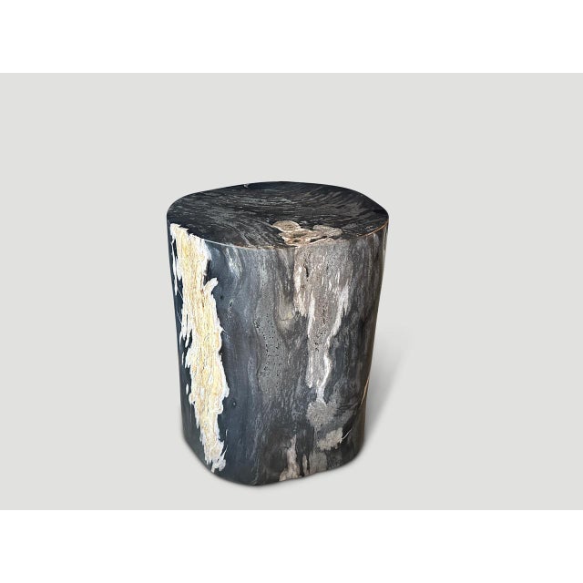 Contemporary Andrianna Shamaris Exquisite High Quality Petrified Wood Side Table For Sale - Image 3 of 18