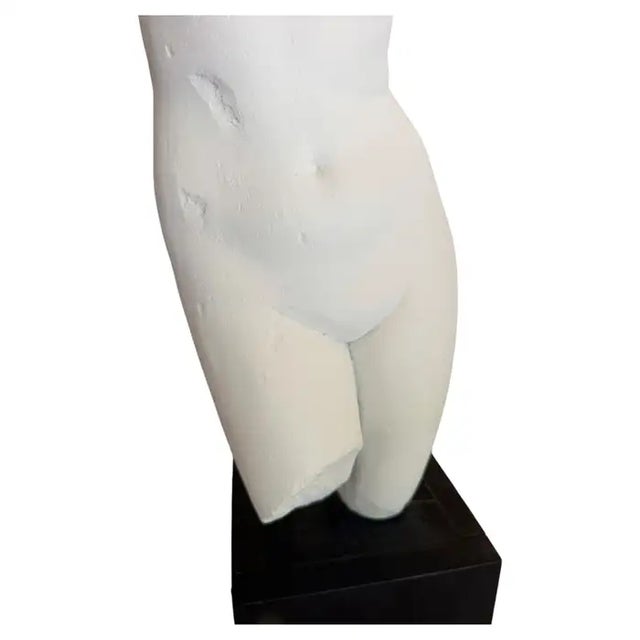 Classical Female Plaster Torso Figural Bust Sculpture on Wood Base, Mma For Sale - Image 12 of 14