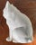 Antique 19th Century Japanese Meiji Okimono Blanc De Chine Porcelain Figure of a Cat For Sale - Image 12 of 12