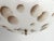 Modern Clover Moons Flush Light For Sale - Image 11 of 18
