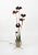 Mid-Century Floor Lamp with Leaves and Flowers in Brass, Italy, 1950s For Sale - Image 10 of 15