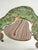 Ceramic and Bronze Nimbo Coffee Table by Henry Holland Studio For Sale - Image 6 of 7