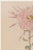 Originally created as Plate 9 from Keika Hyakugiku (One Hundred Chrysanthemums) in 1893, this graceful botanical...