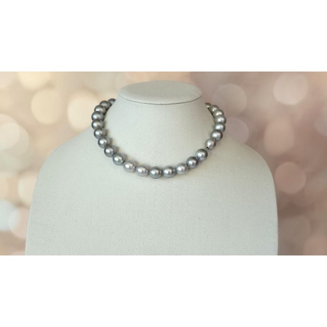 Tahitian Black Pearl Necklace, South Sea Pearls, 14k White Gold Clasp, 17" For Sale - Image 10 of 14
