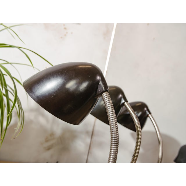 Brown Vintage Cole Bakelite Lamp by Eric Kirkman, 1950s, Set of 3 For Sale - Image 8 of 15