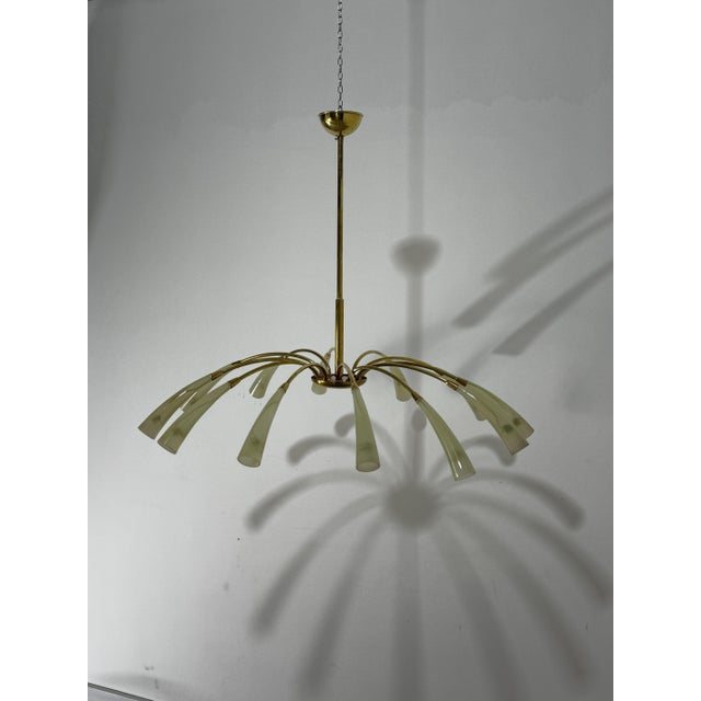 Gold 12-Light Spider Hanging Lamp in Brass and Murano Glass in the style of Ercole Barovier, 1950 For Sale - Image 8 of 15