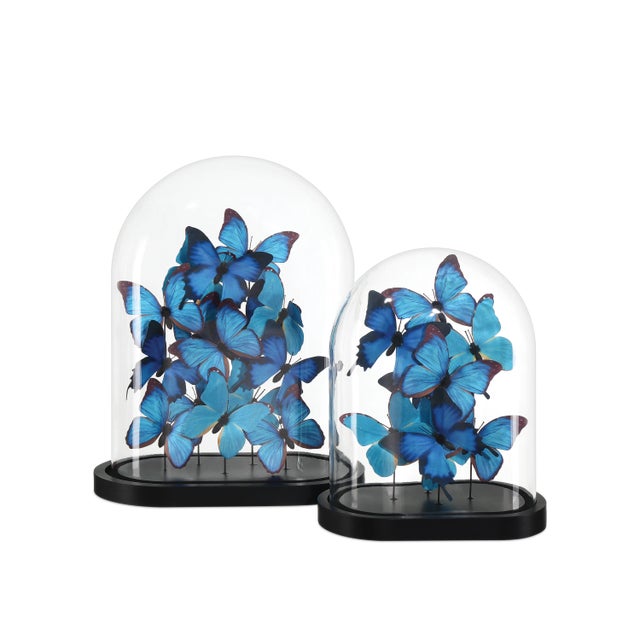 Wood Currey & Company Rue de Bac Medium Butterflies For Sale - Image 7 of 10