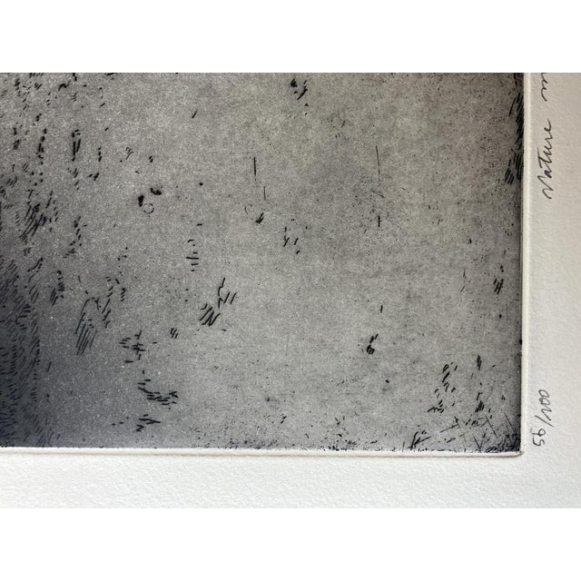 Jean-Baptiste SECHERET (1957) “Still life at the Alcurza” 2019 Etching and aquatint on copper On vellum paper Numbered...