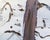Tinted in hues of orange and brown, Eve Nethercott's rendering of a Maine forest is inviting and quaint. As the leaves of...