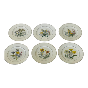 1970s 6 Porcelain Botanical Flora Plates Saks Fifth Avenue