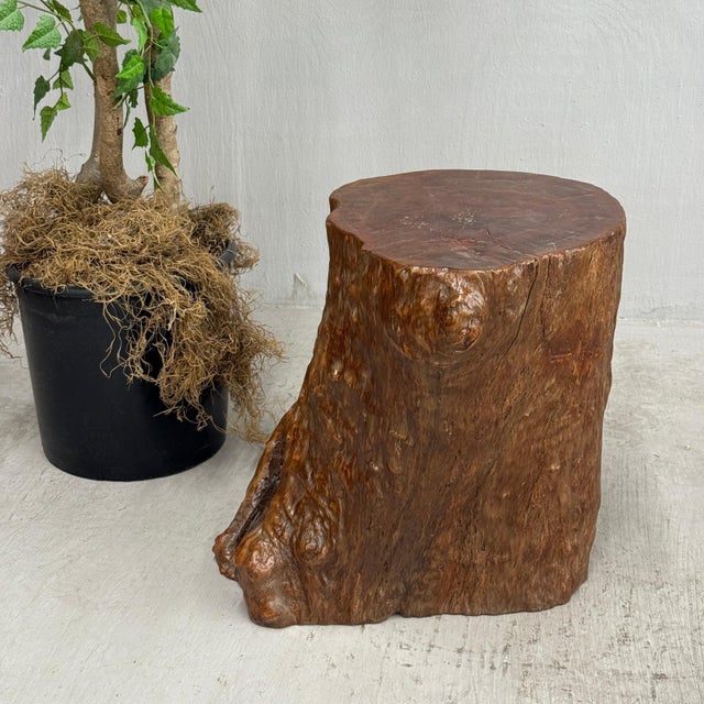 Mid 20th Century Reclaimed Tree Trunk Side Pedestal Table with Organic Shape For Sale - Image 5 of 7