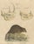 Karl Joseph Brodtmann, Beaver and African & Asian Rhinoceros Skull Studies, 1816, Paper For Sale