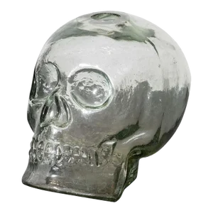 Clear Glass Sculptural Skull Vase