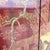 Wood Chinese Six-Panel Red and Gold Lacquered Folding Screen/Room Divider For Sale - Image 7 of 12