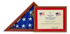 American Flag in Glazed Presentation Cabinet, 1995