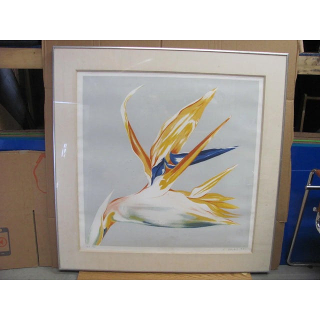 "Bird of Paradise" Silkscreen by Lowell Nesbitt Signed Numbered 15/40 Dated 1986 v.g. For Sale - Image 9 of 9