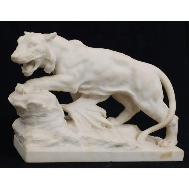 Stone Joseph Frugoni Italian Marble Sculpture of Stalking Lion For Sale - Image 7 of 7