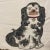 A fun and whimsical pillow HandPainted black and white Staffordshire King Charles Spaniel, with lots of fringe on a red...