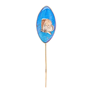 Antique 14k Gold & Real Morpho Butterfly Wing Stickpin