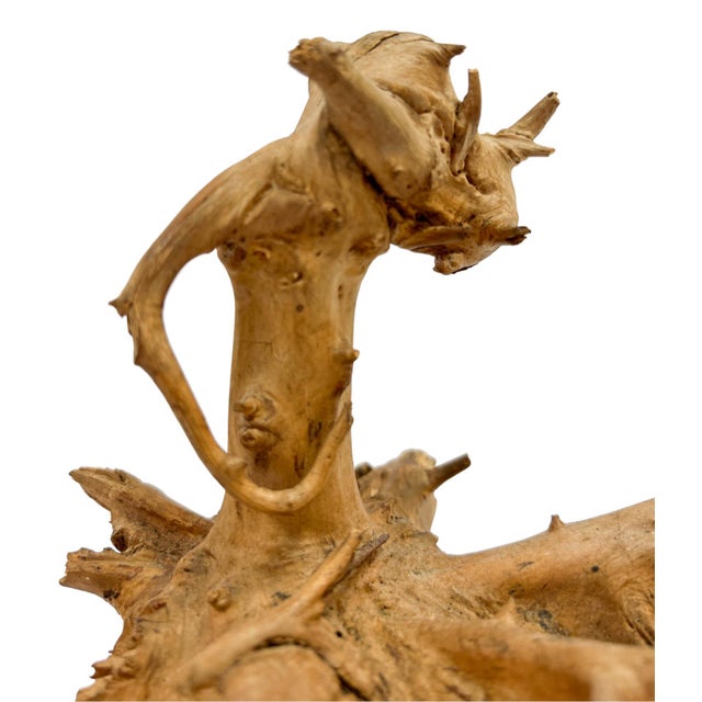 A unique driftwood sculpture that showcases the captivating, majestic form of a dragon's head. The driftwood's rich,...