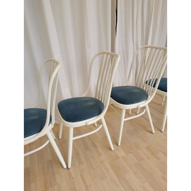 Vintage Bentwood Dining Chairs, 1970s, Set of 4 For Sale - Image 17 of 18