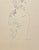 1965 Neil Meitzler Rose Still Life For Sale - Image 4 of 4