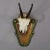 Vintage Black Forest Chamois Trophy on Carved Plaque ca. 1950 A large decorative trophy of the chamois (Rupicapra...