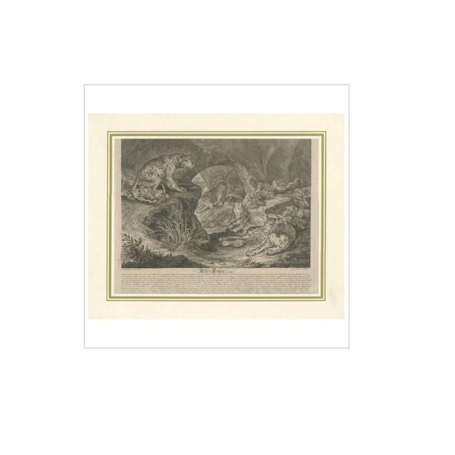 J.S. Müller after I.E. Ridinger, Big Cat Illustration, 1794, Print For Sale - Image 4 of 5