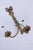 1950s Pair of French Style Brass Electric Sconces For Sale - Image 10 of 11