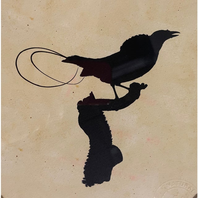 2020s Pair of Natural Curiousities Bird Prints Framed For Sale - Image 5 of 8