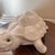 Vintage Italian Ceramic Turtle Sculpture Large White Glazed Tortoise Figurine Italy For Sale In Atlanta - Image 6 of 7