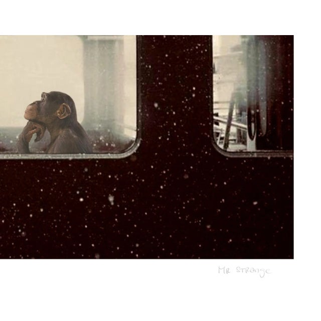 Mr Strange, To Be or Not to Be II, 2022, Giclée Print For Sale - Image 4 of 8