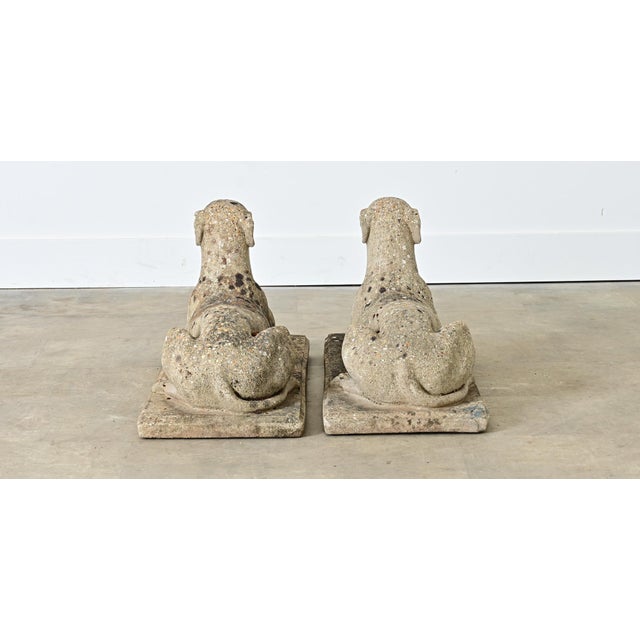 Gray Early 20th Century English Pair of Cast Stone Whippet Garden Statues For Sale - Image 8 of 12