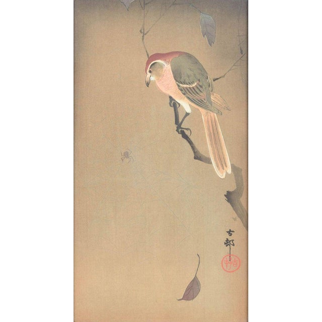 Ohara Koson, The Bird and the Spider, 1930s, Gouache and Ink on Silk For Sale