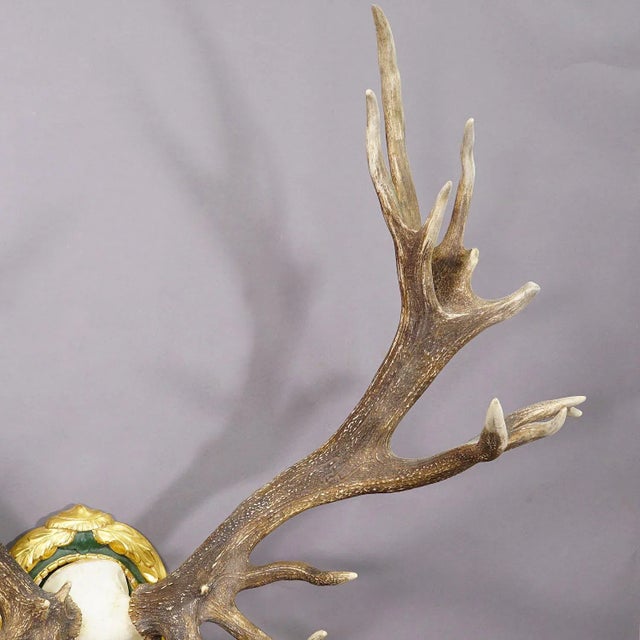 Capital Black Forest Uneven 32 Pointer Deer Trophy on Wooden Plaque For Sale - Image 4 of 5