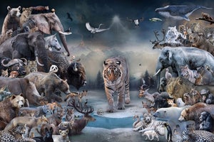 The Golden Age II by Marcin Owczarek | Photography - Dye Sublimation on Aluminum featuring various animals