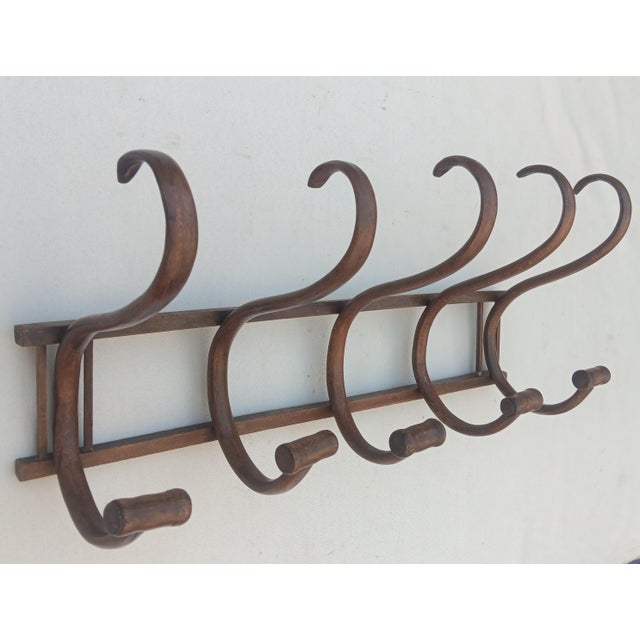 Vintage Bentwood Wall Coat Rack, 1950s, in Very Good conditions. Designed 1950 to 1959