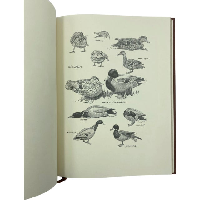 An Artist's Game Bag by Lynn Bogue Hunt Derrydale Press Book 1990 Limited Ed. For Sale - Image 4 of 12